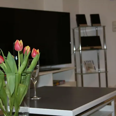 Apartment Schöne 60qm Große Mainz-lerchenberg Zdf *